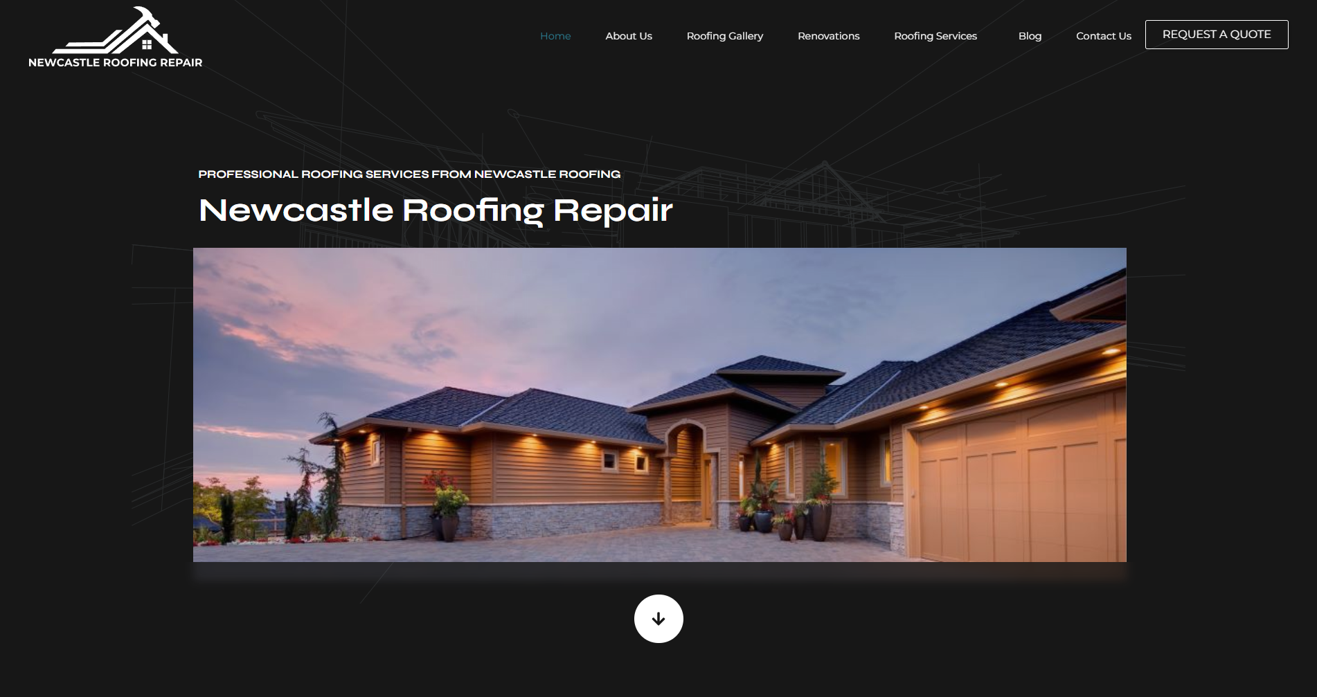 fireshot capture 063 professional roofing services in newcastle www.newcastleroofingrepair.com.au